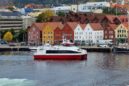 Bergen City Cruise