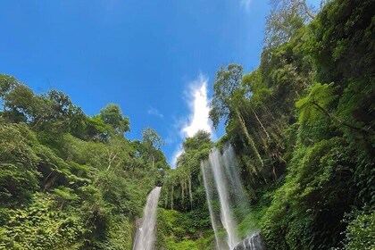 Bali Private Car Charter with Driver