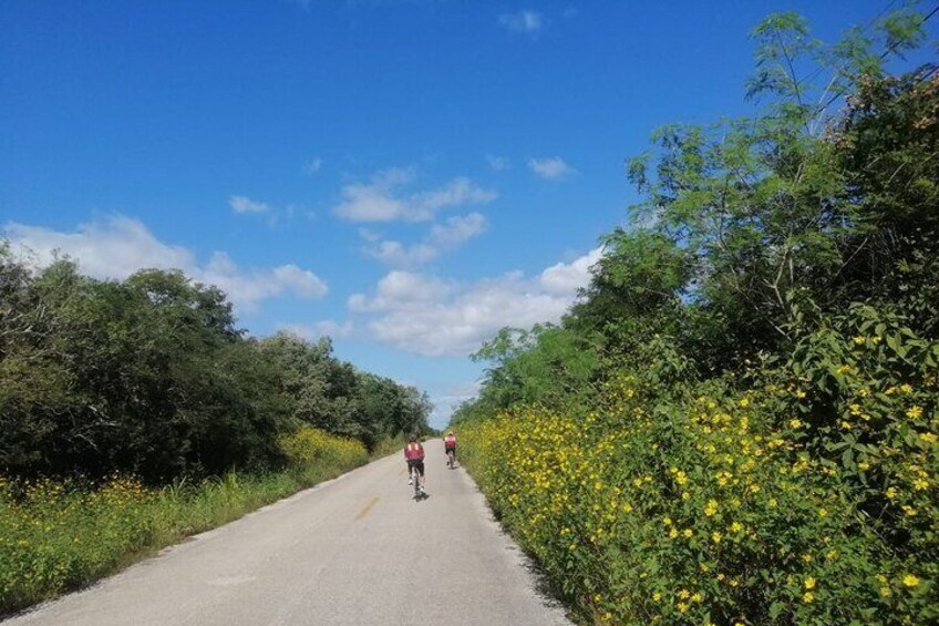 Cancun Bike Tour challange