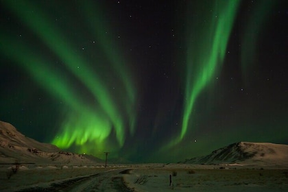 Private Northern Lights Minibus Chase (16-seater)