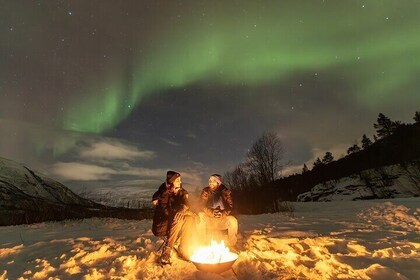 Private Northern Lights Minibus Chase (16-seater)