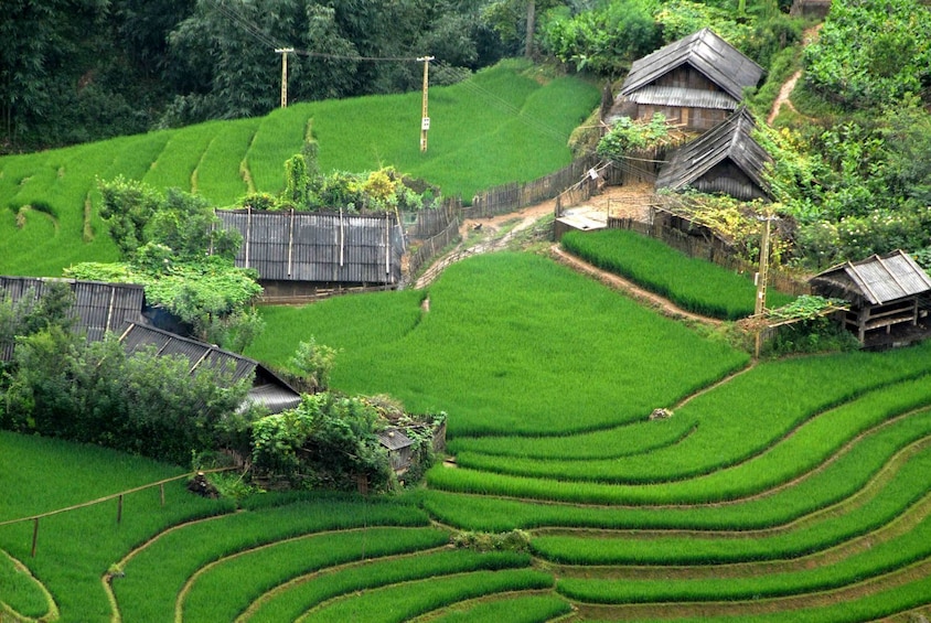 Overnight Sapa: Cat Cat - Y Linh Ho - Lao Chai - Ta Van