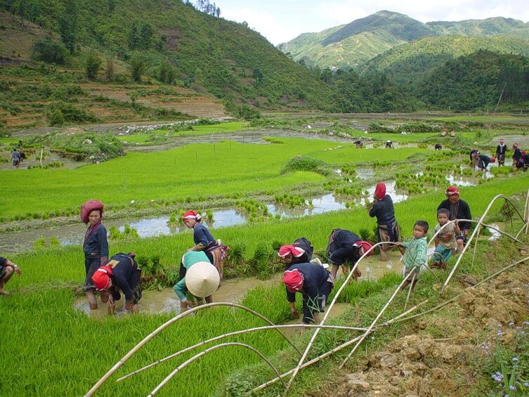 Sapa 2-days Homestay in Ta Van