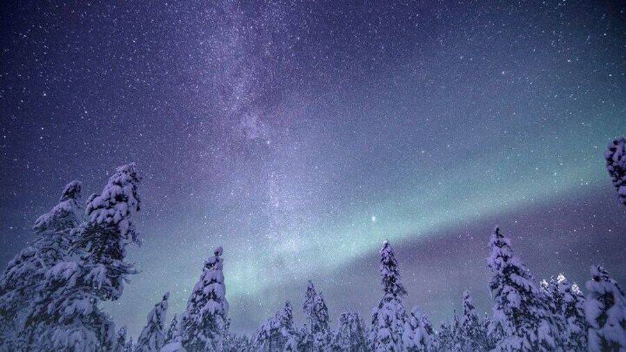 Night Star Walk on Snowshoes in the Finnish Wilderness