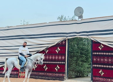 Horse Riding & Relaxation at The Arabian Experience Camp