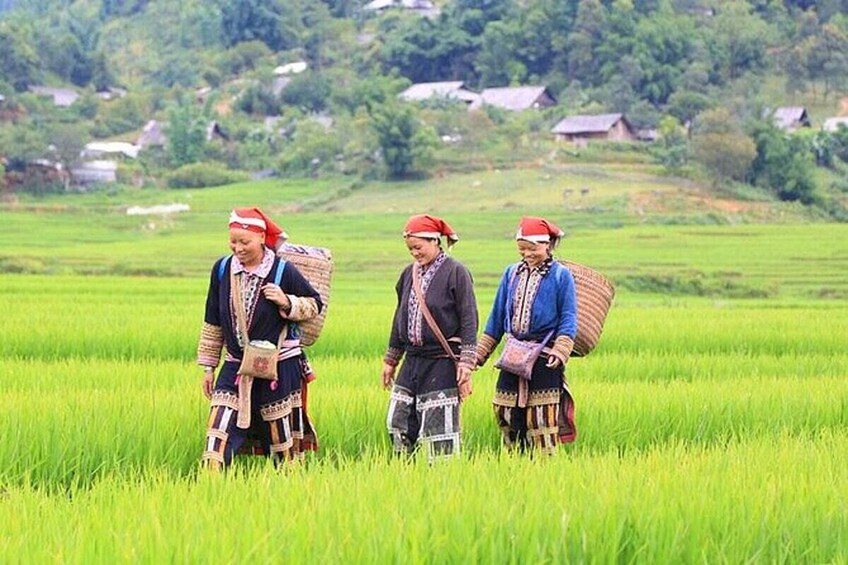2 Day Sapa Experience & Overnight in Ban Ho Village