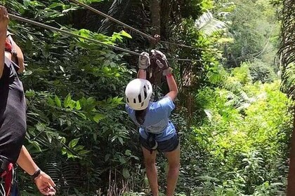 Jungle Ziplining Adventure from Hopkins Village