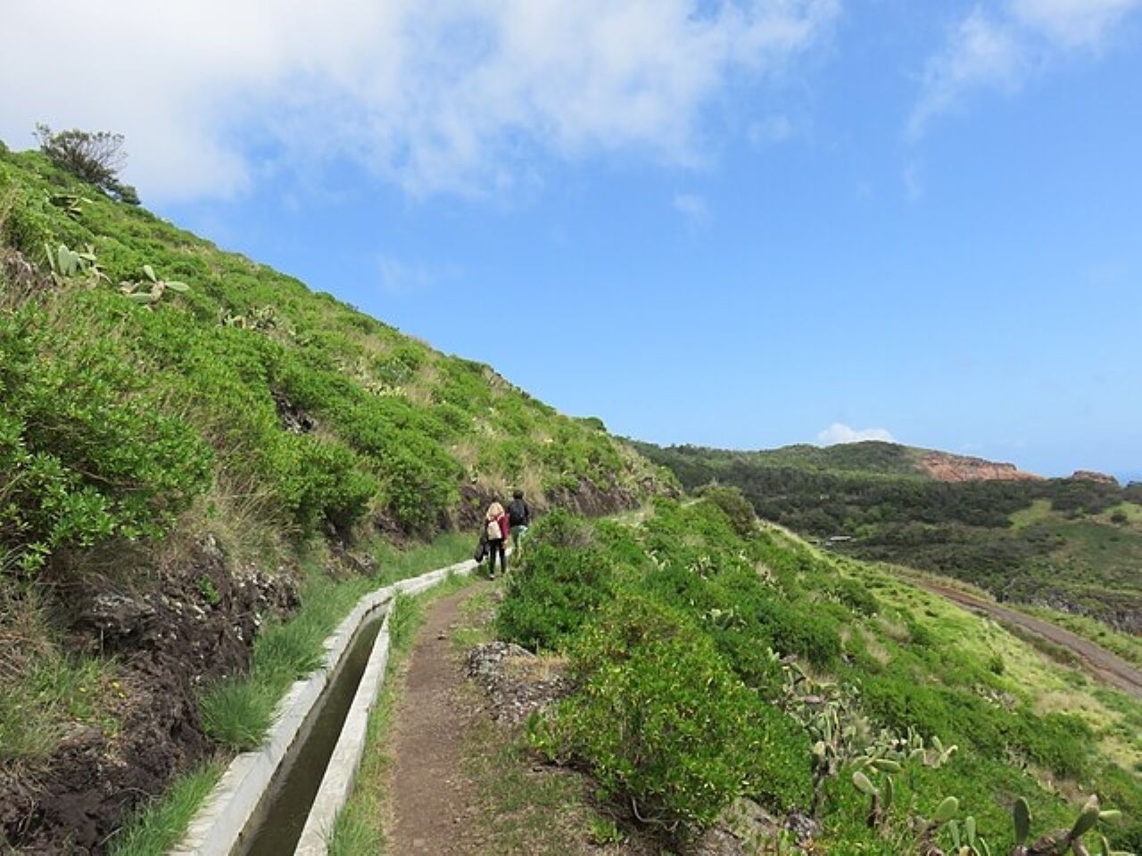 Madeira: Caniçal Levada Walk with Poncha Drink