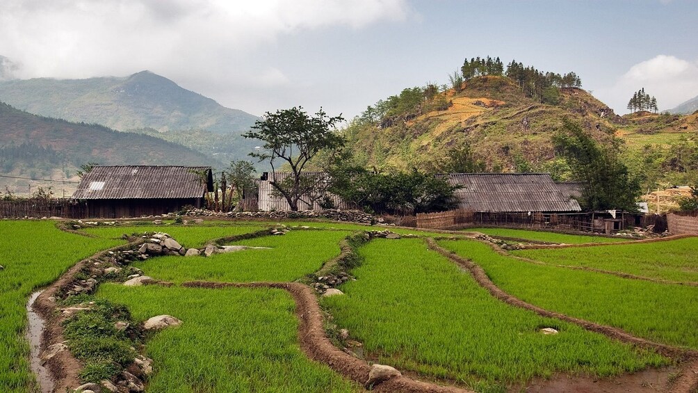 Village in Sapa