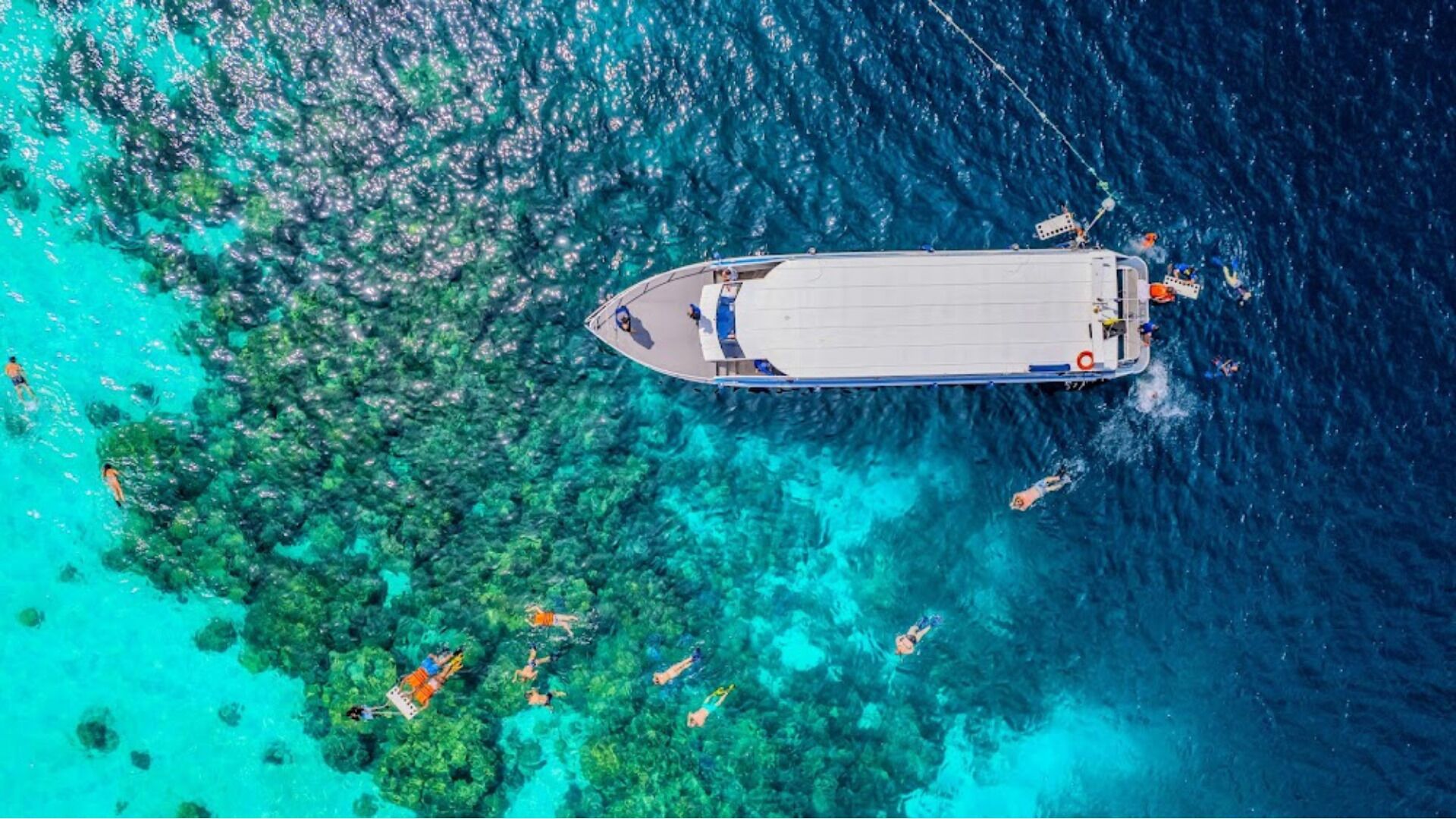 Surin's 3-Reef Snorkel Masterpiece