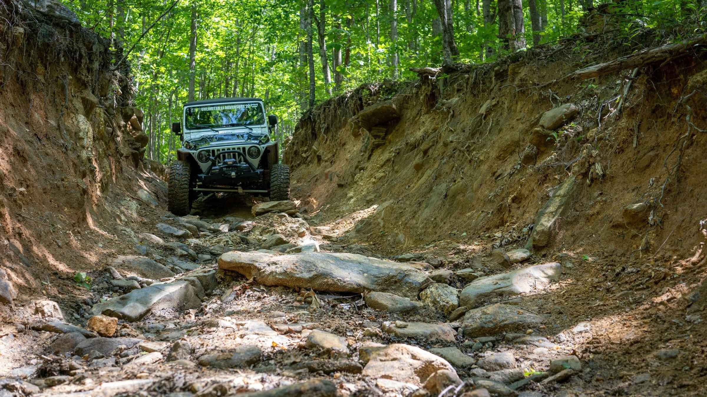 Batumi: Full day Off-Road Adventure In Forest & Waterfalls