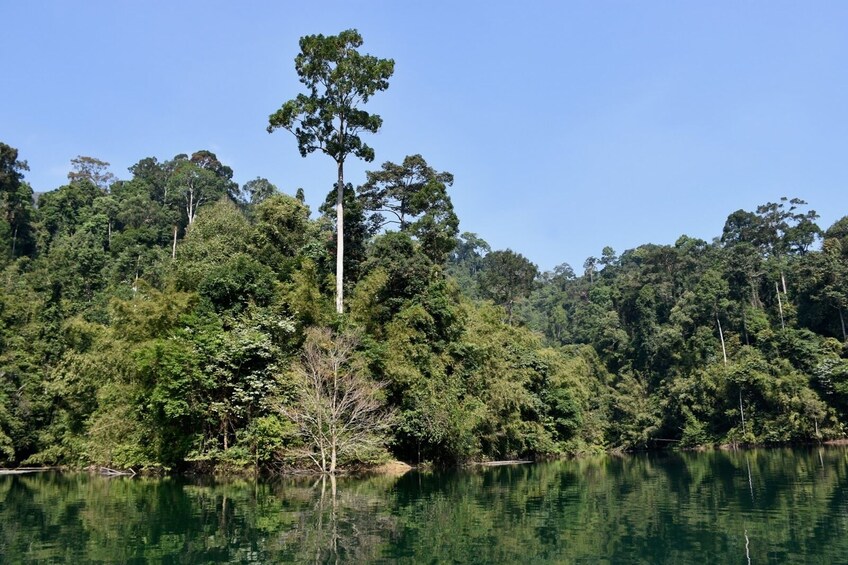 One Day Tour by Longtail Boat on Cheow Lan Lake from Krabi