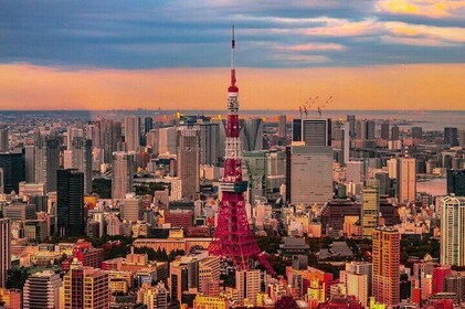 Private Custom Tokyo Tour with English Driver-guide