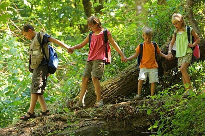 Drakensberg Mountains Full Day Tour From Durban