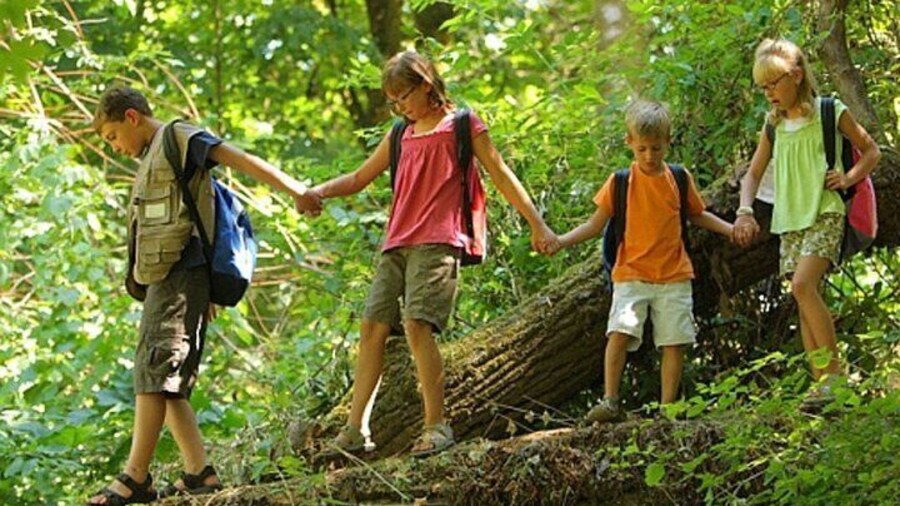 Drakensberg Mountains Full Day Tour From Durban