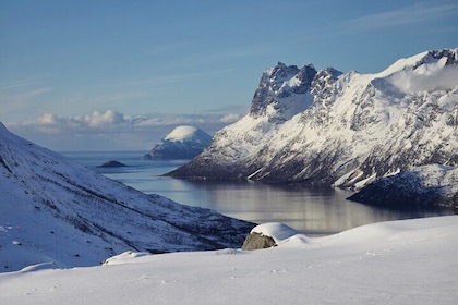 Five Tromso Fjords Tour by Minivan in Four Hours