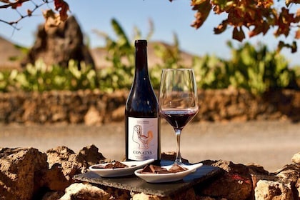 Conatvs Wine Experience and El Cotillo Afternoon Escape
