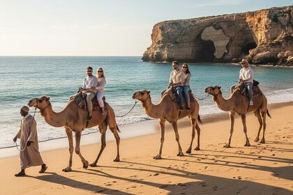 Tangier Corniche Medina and Panoramic Views Shared Tour
