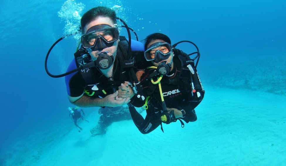 Discover scuba diving in Búzios