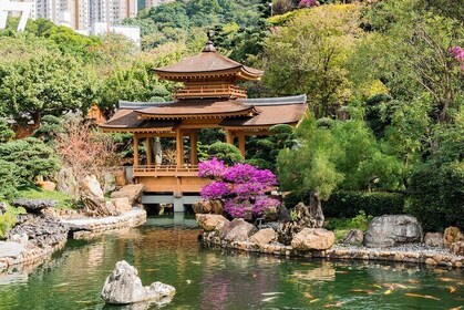 Explore Treasures of Kowloon from Kai Tak Port