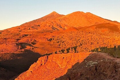 Walking on Mars: Volcanic Hike in Teide National Park