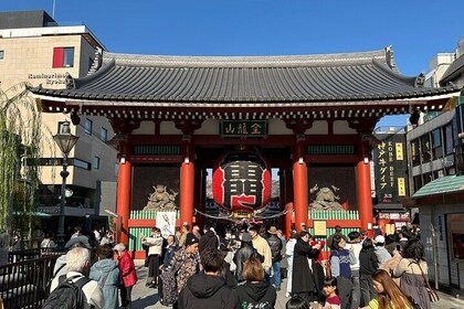 Tokyo Asakusa Sightseeing and History Walking Tour