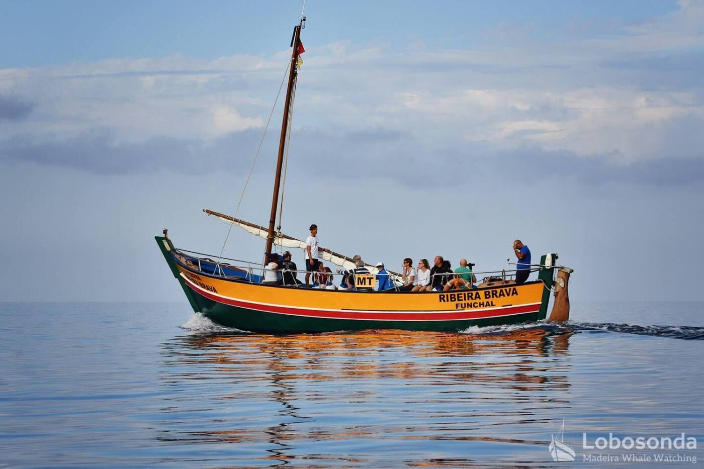 Lobosonda “Ribeira Brava” whale watching tour