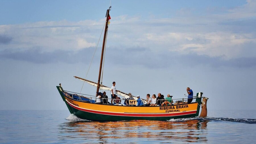 Lobosonda “Ribeira Brava” whale watching tour