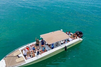 Cartagena islands with white beaches Private Oceanarium entrance