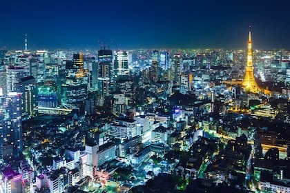 Tokyo Private Sightseeing Tour by Car and English Speaking Driver