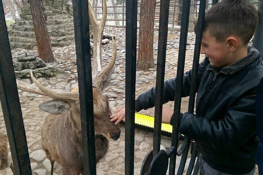 Zoo in Tbilisi