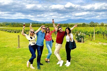 Half Day Yarra Valley Wine Tasting Tour