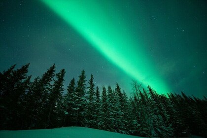 Private Aurora Hunt in the Finnish wilderness - group up to 8