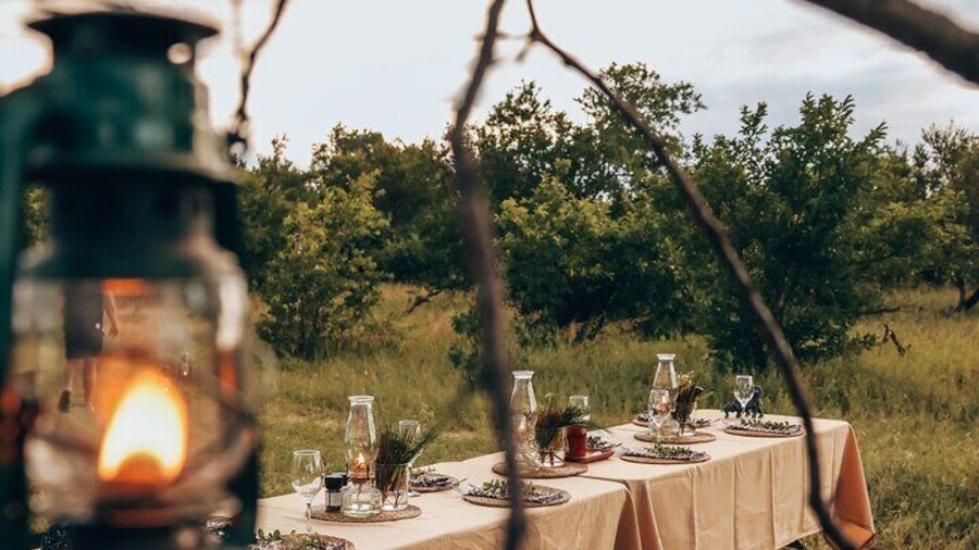 No1 Rated Sunset Game Drive and Bush Dinner