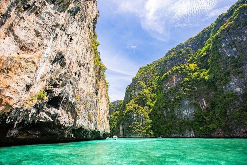 6 Hours Private Longtail Boat Rental Around Phi Phi Islands and Bamboo Island