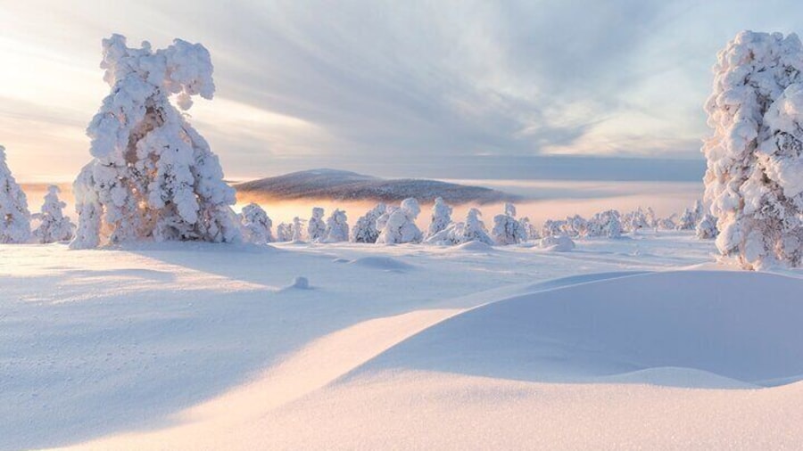 Winter Snowshoeing in the Finnish Wilderness