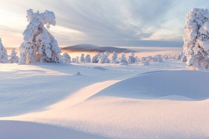 Winter Snowshoeing in the Finnish Wilderness