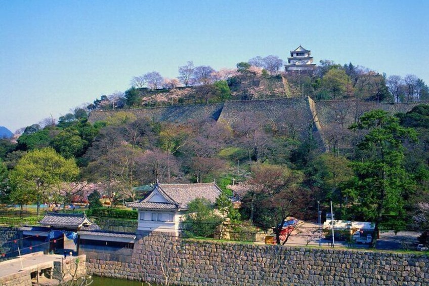 day6-04:10 PM
Marugame Castle, Ichibancho, Marugame, Kagawa 763-0025 < Stay 1 hour or through >