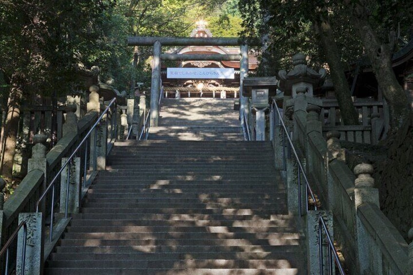 [ Day-6 ] 13:00-14:00 < guided Shrine > KONPIRA-GU, Kotohira 892-1, Nakatado, Kagawa