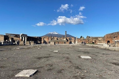 Full-Day Pompeii And Mt.Vesuvius Hike from Naples