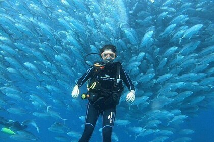 Espiritu Santo Private SCUBA Tour for Beginners