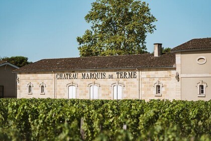 Day trip: Tour in Bordeaux and Trip to Medoc or Saint-Emilion