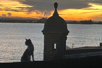 Signs and Wonders in Old San Juan History Culture and Mysteries