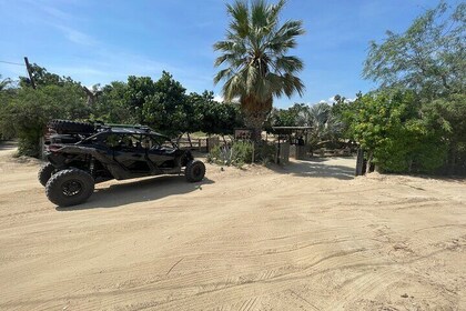 Private Cabo Buggy Rides and Can Am Adventures