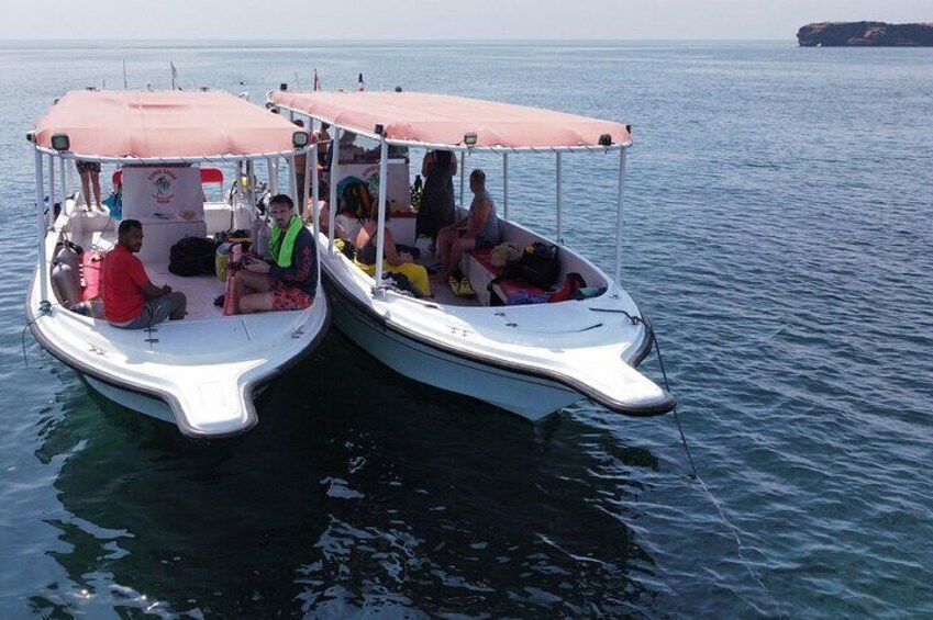 Snorkeling trips to Daymaniat Islands Sharing Trip