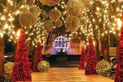 Christmas Lights Tuk Tuk Tour in Funchal Experience by MadTuk