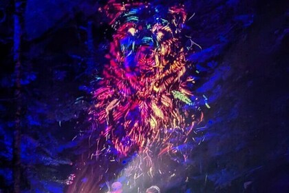 Whistler+Valea Lumina+Shanon Fall+Brandywine Fall+PorteauCoveTOUR