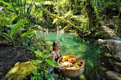 Wine and Nature Floating Picnic Experience