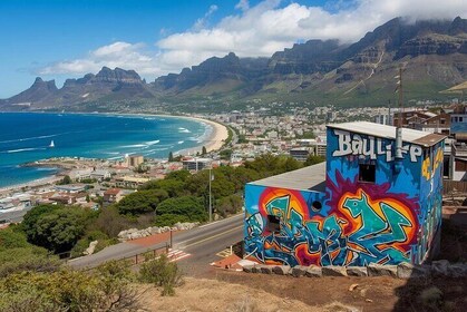Cape Peninsula Full Day Tour Nature and Street Art Experience