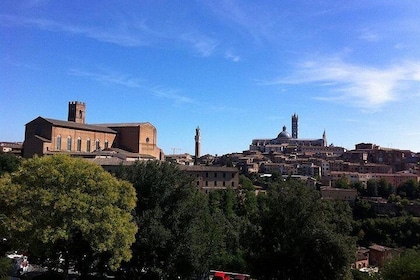 Private Tuscany Tour: Siena, San Gimignano and Chianti Day Trip